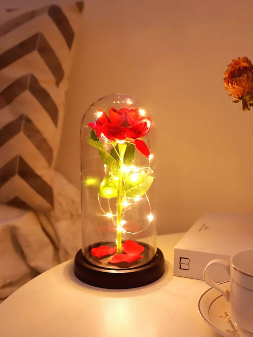 Gifts & Home Decor